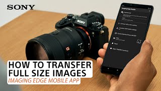 Sony  Imaging Edge Mobile App How to transfer fullsize images [upl. by Ellezig]