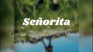 Señorita  Camila Cabello amp Shawn Méndez [upl. by Ailyt966]