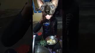 🙏🙏❤️❤️❤️Jiske dole 🥚🥚🥚🤩🤩🥰🥰🥰🥰🥰shole viral funny short video 😘😘😘😘 [upl. by Spevek308]