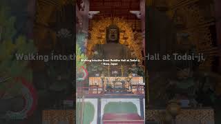 Walking into the Great Buddha Hall at Todaiji Nara Japan [upl. by Eizdnil116]