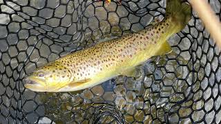 46 The Housatonic CT  Fishing The Top 100 Streams in America [upl. by O'Driscoll]