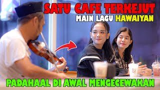 Satu Cafe Terkejut Padahal Di awal Mengecewakan Main lagu HAWAIYAN [upl. by Vas956]