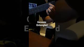 Genesis  Entangled acousticguitar genesis genesiscover genesisentangled [upl. by Shirlee196]