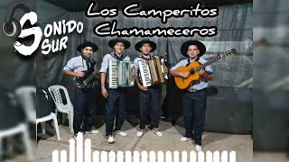 Los Camperitos Chamamecero Enganchado🎶🎙️ Sonido Sur 🎶🎙️🎧 [upl. by Benilda]