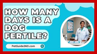 How Many Days Is A Dog Fertile  PetGuide360com [upl. by Lal]