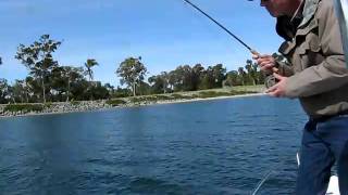 San Diego Fishing Guide Todd With a Halibut On The Fly [upl. by Amaj]