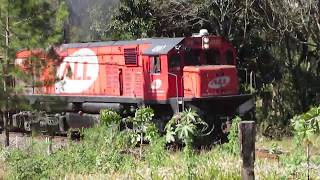 Trem RARO com G26CUMP 4507 ALL tracionando 55 vgs vazios dia 25082019 [upl. by Yearwood]