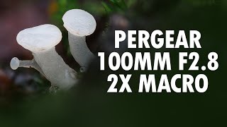 Pergear 100mm F28 2x Macro Lens Review [upl. by Einittirb]