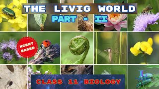 THE LIVING WORLD PART  II  CLASS 11 BIOLOGY  NCERT  COHSEM  CBSE [upl. by Furie]