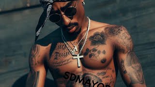 2pac  Betrayed By The Street  2024 HD [upl. by Aivitnahs]