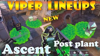 Top 15 New Ascent Viper Post Plant Lineups  Viper Lineups Ascent  Viper Guide Ascent [upl. by Pillsbury]