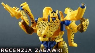 Cheetor Gepardon  polska recenzja zabawki  Transformers Beast Wars Kosmiczne Wojny [upl. by Akerdal]