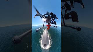 This is how scientists monitor the health of whales 🤯 Permit SGPADGVS1002221 drone tech sea [upl. by Bravin]