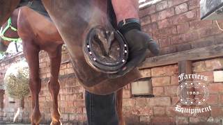 Farriers Equipment Nailing on Hammer [upl. by Stultz602]