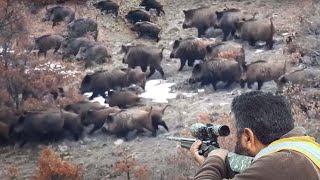 American Hunters And Farmers Hunt Millions Of Wild Animals  Hunting Documentary [upl. by Airemat630]