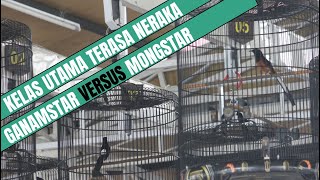 DUEL SENGIT ANTI ZONK MB GANAMSTAR VS MONGSTAR DI HUJANI DENGAN AIR LANGIT CUACA EXTREM [upl. by Wilow]