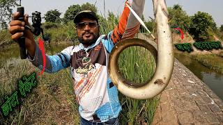 AMAZING BIG BAAM छोटा पैकेट बड़ा धमाका FISHING [upl. by Woodward720]