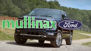 Go for Simple Easy Fun Mullinax Ford of West Palm Car Buying Experience [upl. by Einniw]