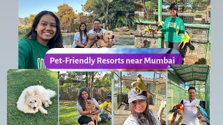 Manas ResortIgatpuri  petting Zoo resort  pet friendly  Near Mumbai [upl. by Aeret]