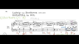 Beethoven Sonatina in G major Analyis [upl. by Allerbag]