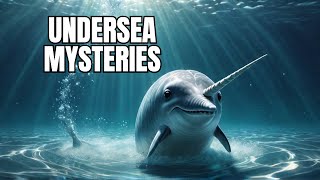 The Hidden World of Narwhals Unveiling Secrets [upl. by Renraw420]