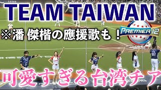 【台灣英雄】可愛すぎる台湾チアがTeam Taiwanをノリノリで踊って台北ドームを盛り上げる ！可愛的台灣啦啦隊與台灣隊一起跳舞，讓台北巨蛋熱鬧起來【世界12強棒球賽2024 台湾対ドミニカ共和国】 [upl. by Pegg]