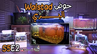 S5E2  حوض walstad البري [upl. by Corilla]