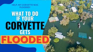 What to do with YOUR CORVETTE after a FLOOD [upl. by Innoc]