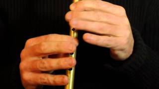 The Centenary March  Tin Whistle Intermediate Tune [upl. by Haran]