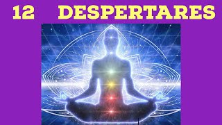 Los 12 despertares espirituales y de conciencia para el ser humano y tú cuántos llevas vencidos [upl. by Nosreh648]