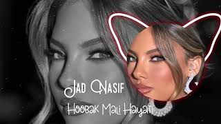 Jad Nasif Hoobak Mali Hayati Remix 2024  An Emotional Rework by DJ Samir  Track by Jad Nasif [upl. by Yarak594]