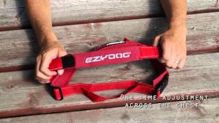 EzyDog QuickFit Dog Harness  Simple Support [upl. by Ibocaj]