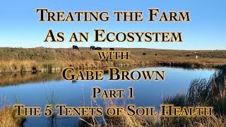 Treating the Farm as an Ecosystem with Gabe Brown Part 1 The 5 Tenets of Soil Health [upl. by Enitsyrhc]