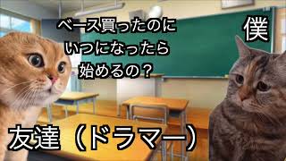 中学でベースを始めるきっかけになった出来事の話猫マニ 猫ミーム [upl. by Disraeli]