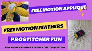 Free Motion Applique Plus ProStitcher Quilting [upl. by Naujat]