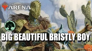 Bristly Bill Spine Sower 🌳🌳🌳  Historic Brawl  Magic the Gathering Arena [upl. by Rotce]