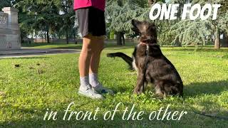 One foot dog mep part for Kendrandbuddy [upl. by Orlene701]