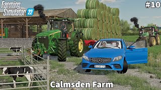 Placing Calf amp Feeding Cows Collecting amp Storage Hay Bales │Calmsden│FS 22│Timelapse10 [upl. by Dobbins]