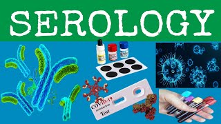 What is serologymedical serology medical laboratory learn [upl. by Vallo184]