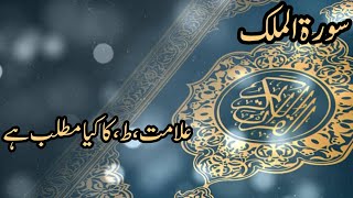 29th Para Surat ul Mulk Aayat No 4 to 8 Part 2 [upl. by Artima]