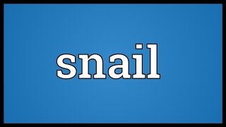 Snail Meaning [upl. by Louth]