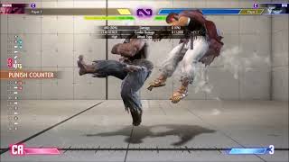 SF6 BnB Combo Tutorial and Character Guide  Akuma [upl. by Preston]