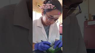 DNA Isolation in the lab 🧬🥼🔬✨️biotechnology dna isolation plantleaf science experiment stem [upl. by Molton]