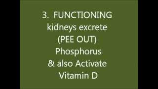 Secondary Hyperparathyroidism amp Renal Osteodystrophywmv [upl. by Anipsed688]