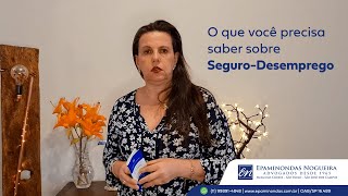 O que você precisa saber sobre SeguroDesemprego [upl. by Ahsemed532]