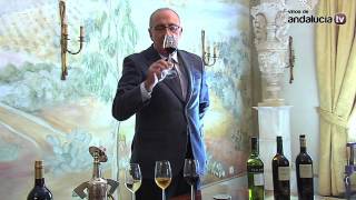 Néctar Pedro Ximénez Bodega González Byass  Vinos de Jerez [upl. by Dekow470]