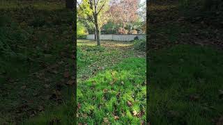 Juste un parc vide societe nature film motivation [upl. by Berga]