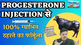 Progesterone injection से 100 ग्याभिन ठहरने का फॉर्मूला 👉 [upl. by Mcdade359]