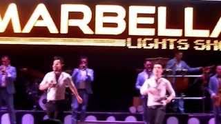 Orquestra Marbella 2014 Mix Americo [upl. by Alesiram306]