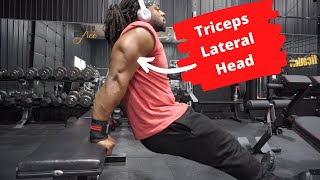 3 Exercises For Thick Triceps  Triceps Lateral Head [upl. by Nnyrat]